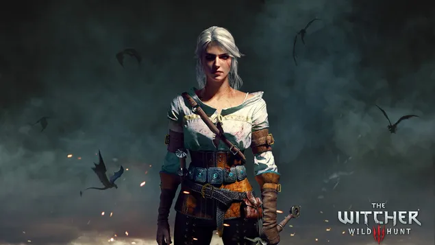 Witcher 3: Wild Hunt - Ciri in War download