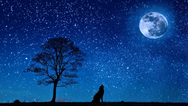 Lobo y árbol en luna llena en aire estrellado HD fondo de pantalla