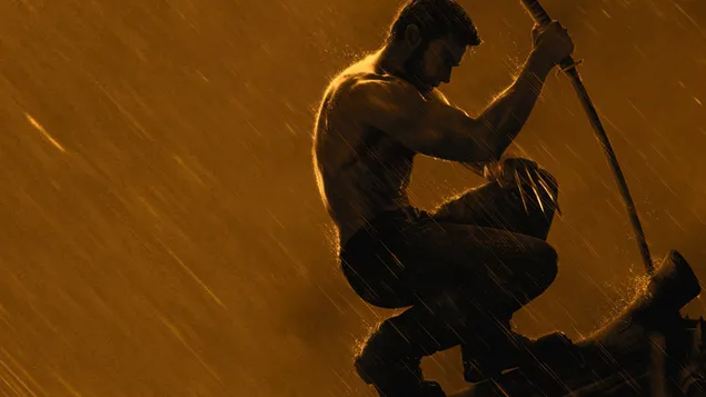 Wolverine Logan (Marvel) Superhero