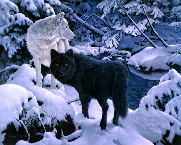 Wolves in winter forest