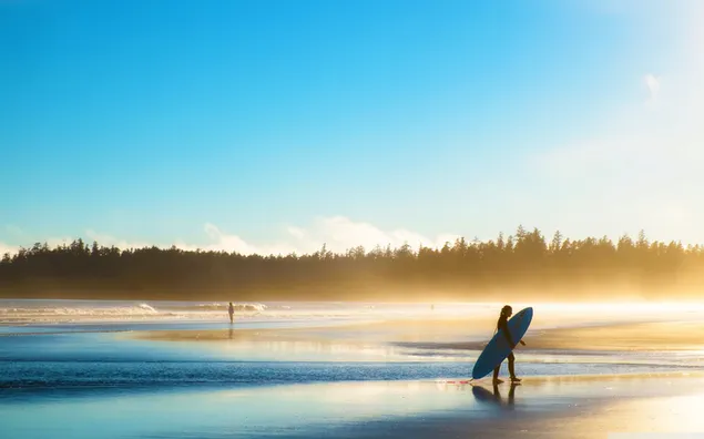 Kvinde med surfbræt blandt træer og vand med gule solstråler download
