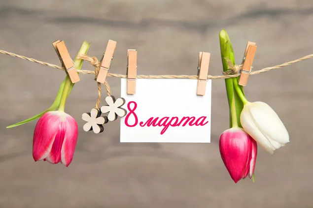 Hari Wanita - Gantung bunga tulip 4K kertas dinding