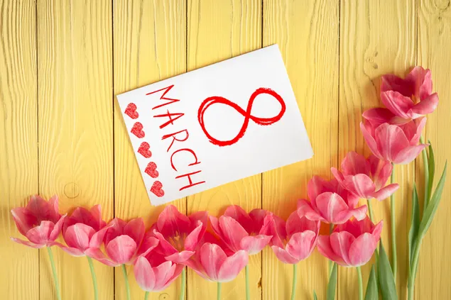 Hình nền Ngày phụ nữ - Hoa tulip hồng 4K