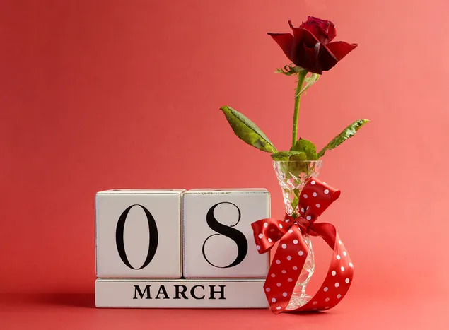 Frauentag - Rote Rose 2K Hintergrundbild