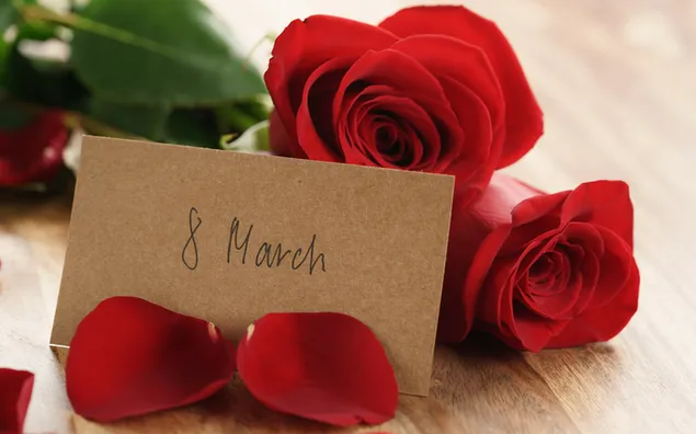 Frauentag - Rote Rosenblätter herunterladen