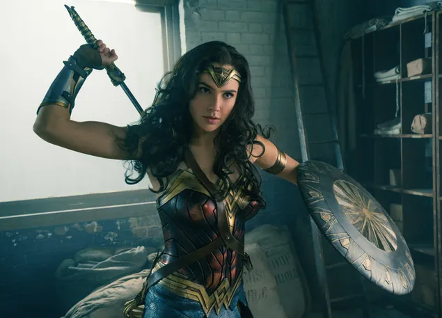 Película Wonder Woman - Gal Gadot con espada y escudo descargar