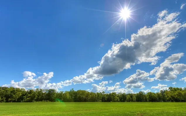 Maravillosas luces de sol en el cielo nublado y fila de árboles en el campo de hierba descargar
