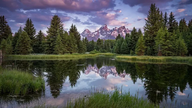 Wunderbare natürliche Schönheit von stark reflektierten Wolken und Bäumen 4K Hintergrundbild