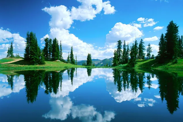 Pemandangan indah pepohonan dan awan tercermin di danau unduhan