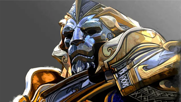 World of Warcraft (WOW): Anduin Wrynn Armor