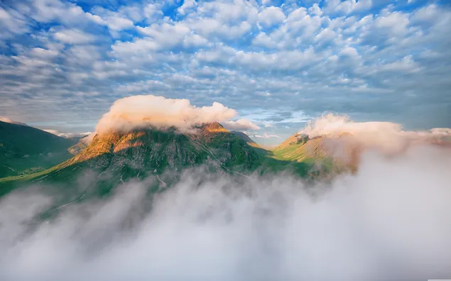 霧の中の森の丘に雲が集まった
