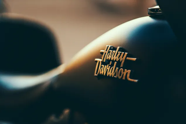 Xe đạp mơ ước harly davidson tải xuống