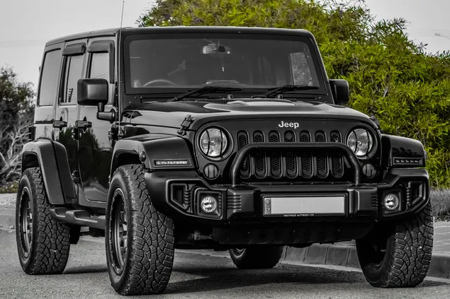 Xe Jeep Wrangler 4x4 màu đen tải xuống