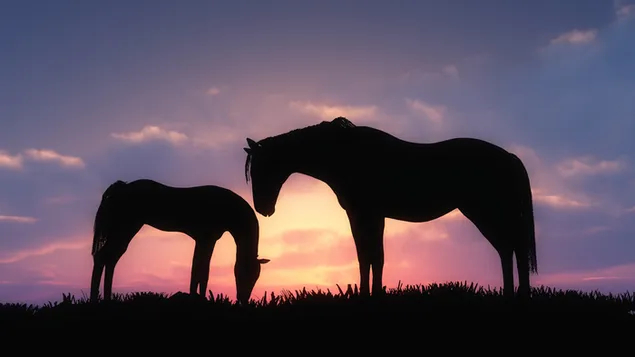 夕暮れ時に食べる母馬と子馬のシルエット