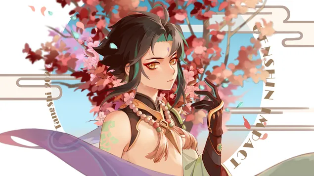 Xiao (Alatus) | Genshin Impact | [Anime Video Game]