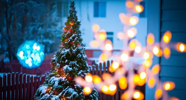クリスマスの夜のツリー ライト 2K 壁紙