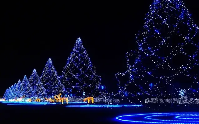 Pohon Natal cahaya yang indah di malam Natal