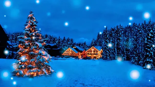 Kerstboom met kleurrijke lichten in de winternacht