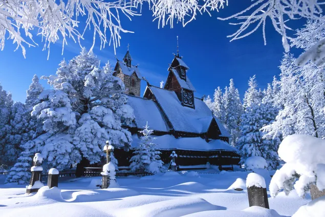 雪の中の木々に囲まれた屋外のシャレー