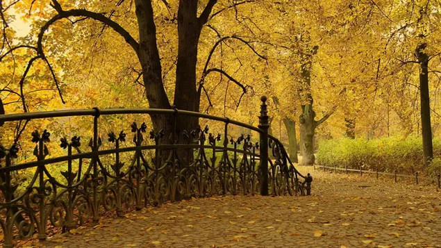 黄色い秋の風景 HD 壁紙