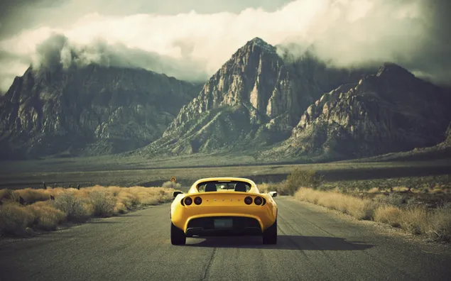 Yellow classic lotus on the way to the summit where the mountains meet with the clouds download