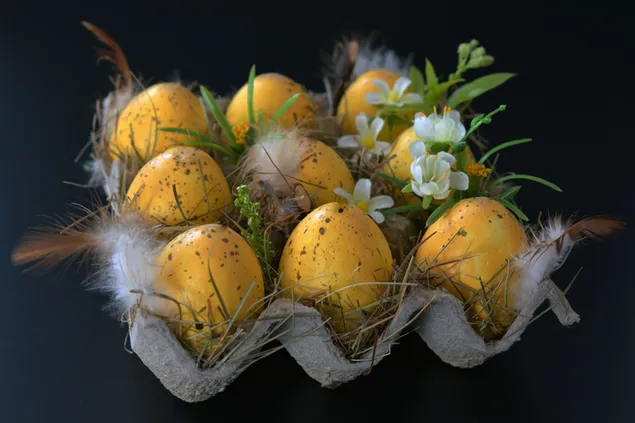 Yellow Easter egg in tray with feathers and flowers