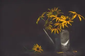 Tapeta žluté květy na černém pozadí 4K