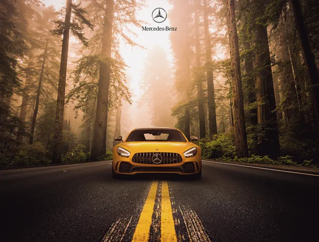 Gele Mercedes-Benz AMG GT R in het bos download
