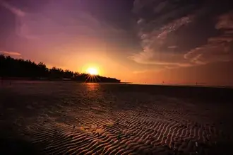 Yellow skylights hit the beach and tree silhouettes at sunset 4K wallpaper