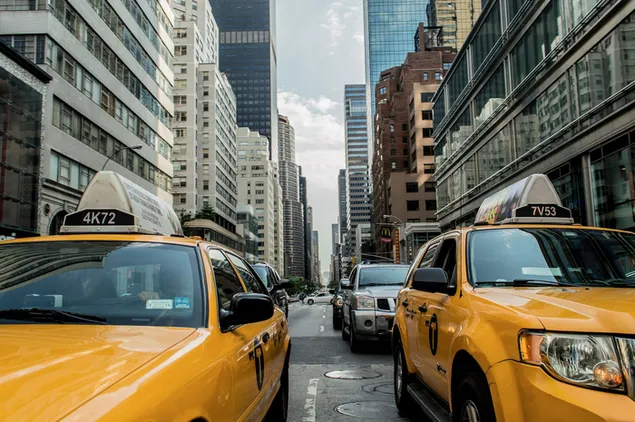 yellow taxis in new york