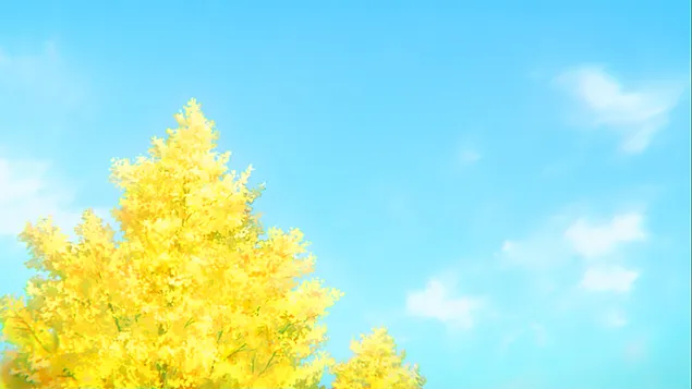 HD wallpaper: anime sunset, landscape, birds, clouds, built structure,  orange color | Wallpaper Flare