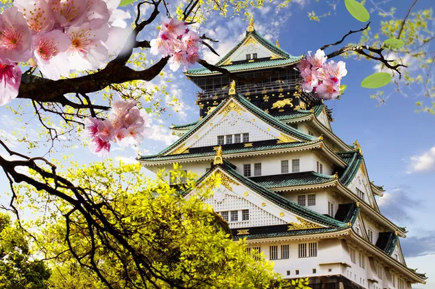桜と日本の神殿