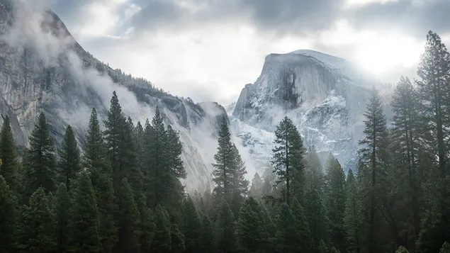 Yosemite bomen download