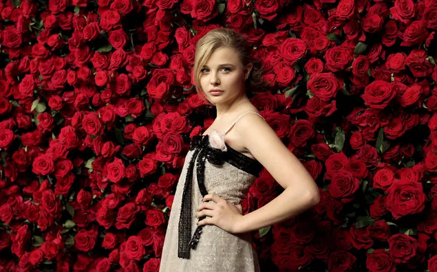 La joven actriz Chloe Grace Moretz con fondo de rosas rojas HD fondo de pantalla