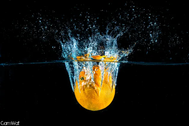 Zambullida naranja descargar