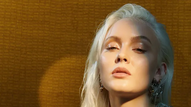 zara larsson | lamhach iris nme ioslodail