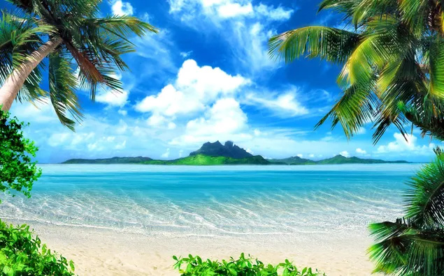Zeewatergolven met verspreid bewolkt uitzicht op de lucht tussen palmbomen en groene zomervegetatie