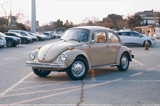 駐車場で茶色のクラシック ビートル車 ダウンロード
