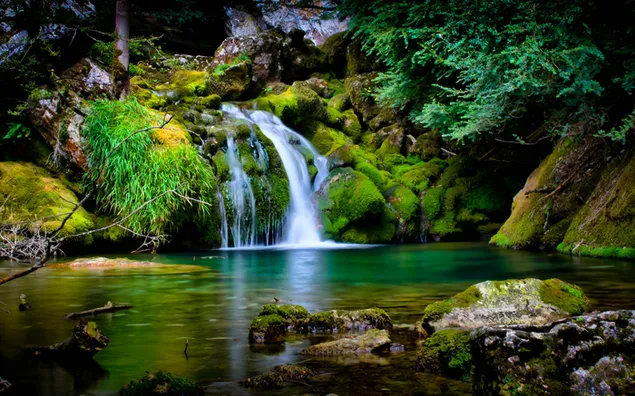 自然の手つかずの美しさ、苔むした石、流れる滝、きれいな水があるヴェルコールの森