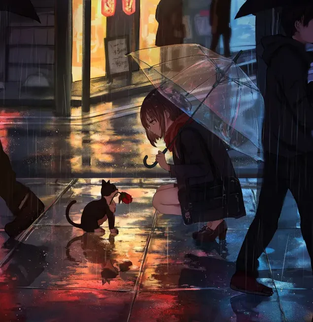 Zwart-witte kat die rozen geeft aan anime-meisje dat 's nachts met paraplu op straat loopt download