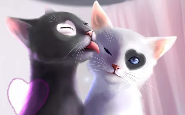 Zwart-witte kattenromantiek