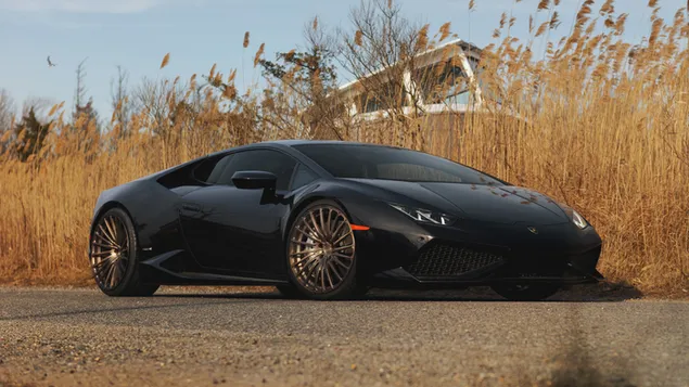 Zwarte Lamborghini Huracán